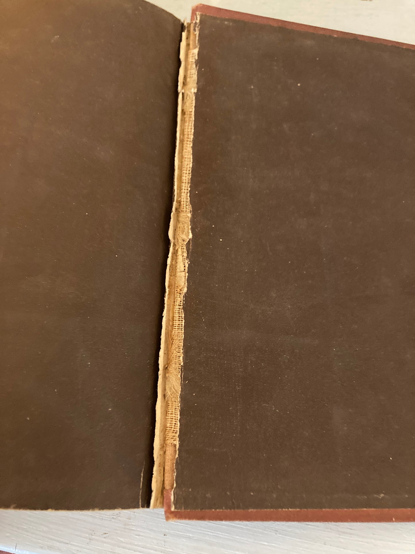 Thackeray, William Makepeace: Vanity Fair (John Wurtele Lovell, New York, circa 1880)