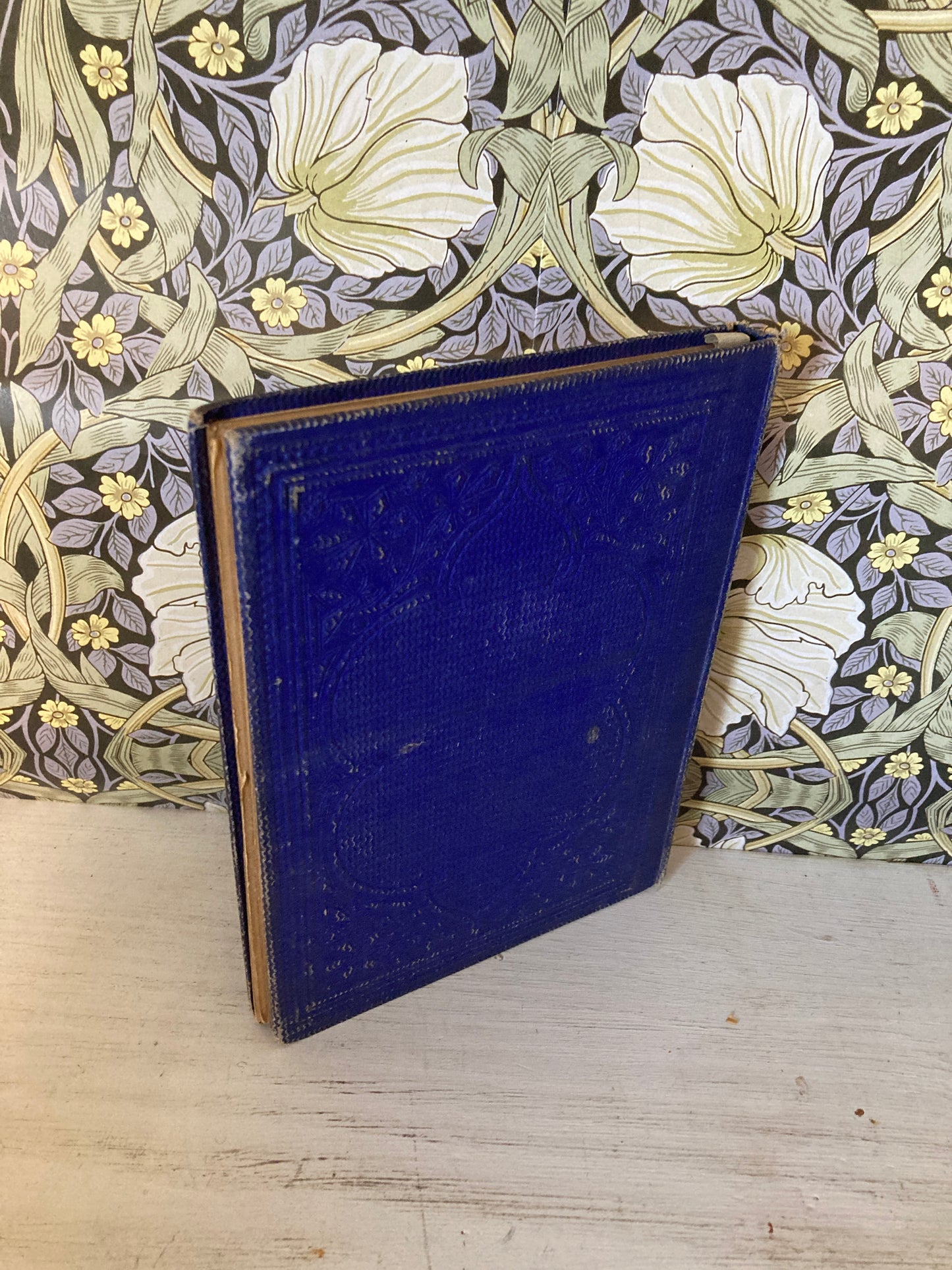 The Language of Flowers: An Alphabet of Floral Emblems (T. Nelson & Sons, 1858)