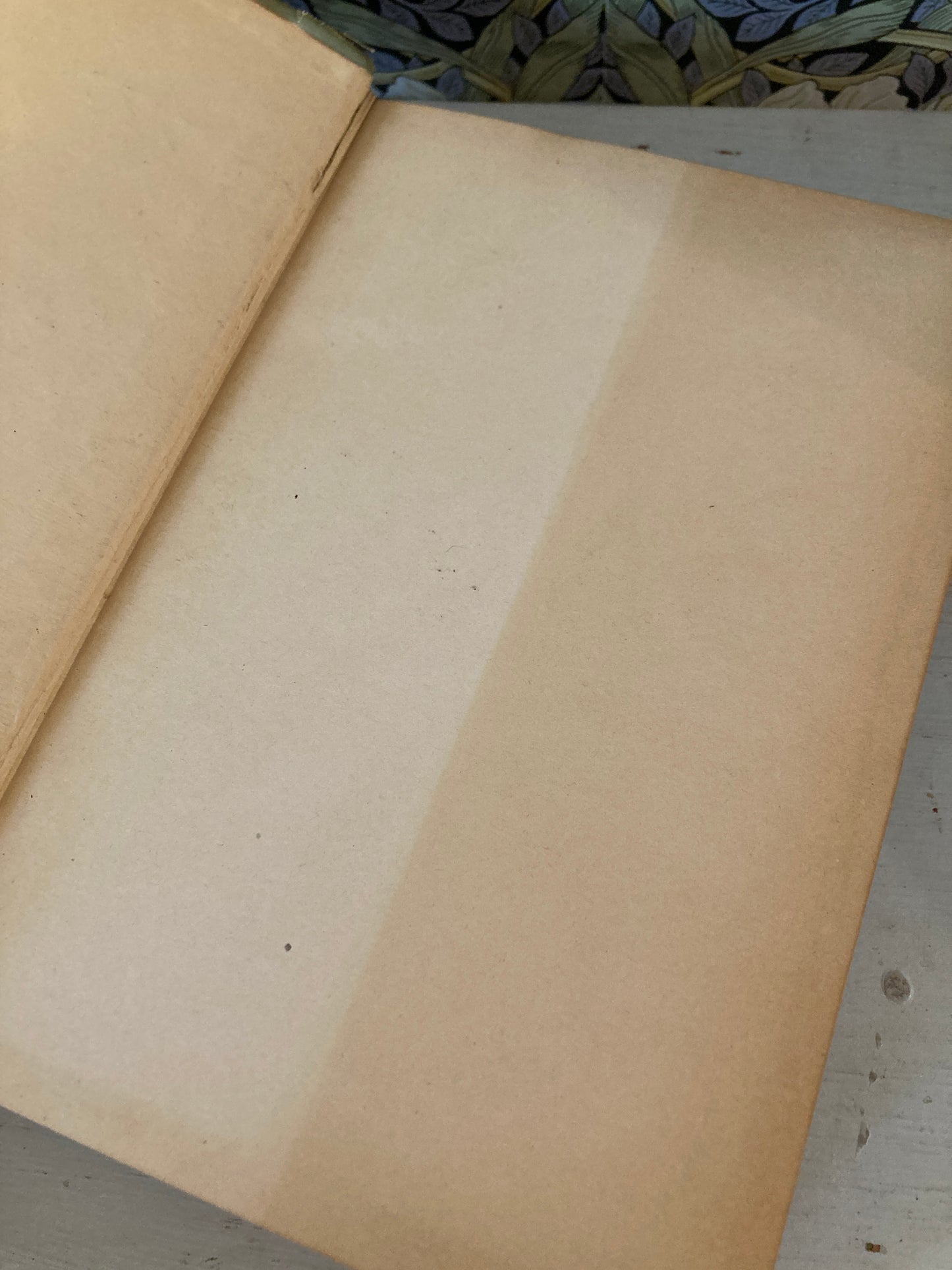 Alcott, Louisa May: Little Women (Little, Brown & Co., 1896)