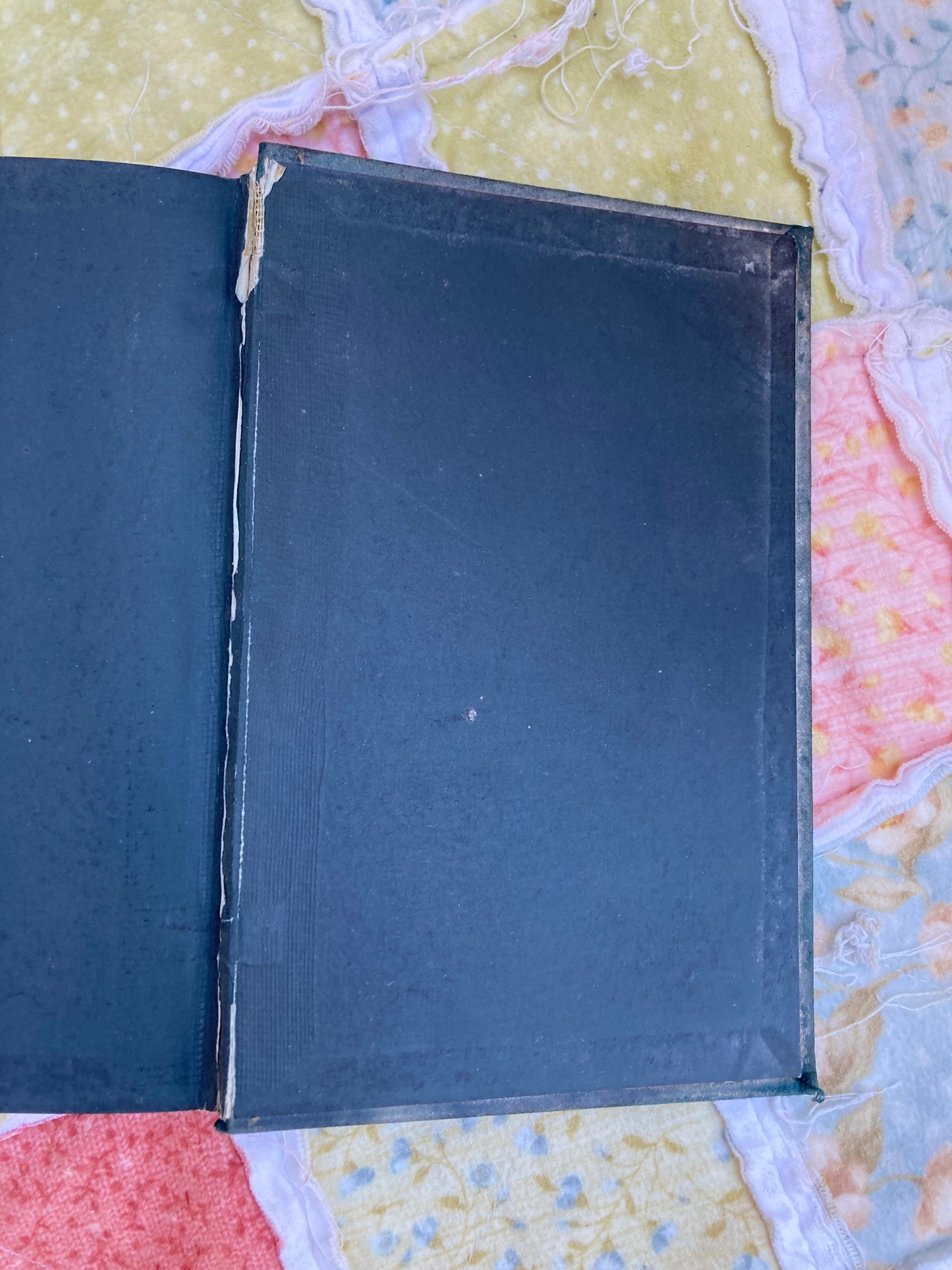 Austen, Jane: Pride and Prejudice (George Allen, 1894)