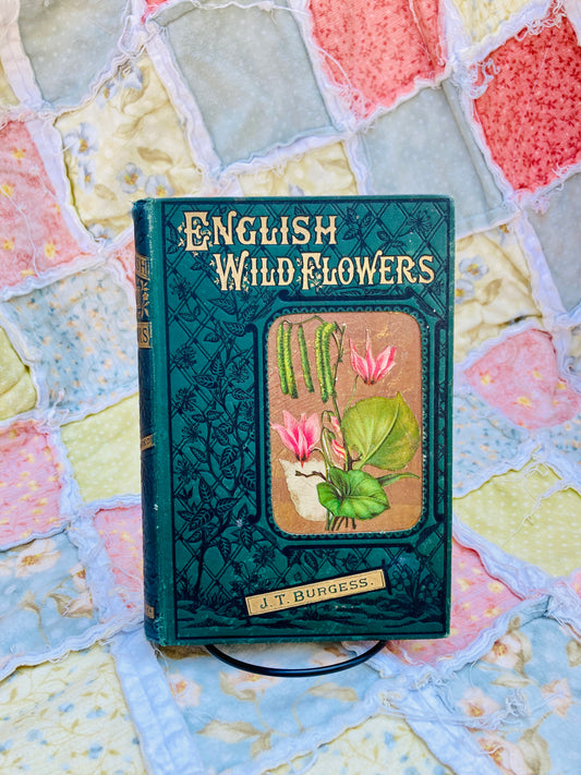 Burgess, J. Tom: English Wild Flowers to be found by The Wayside, Fields, Hedgerows, Rivers, Moorlands, Meadows, Mountains, and Sea-Shore (Frederick Warne & Co., London, circa 1900)
