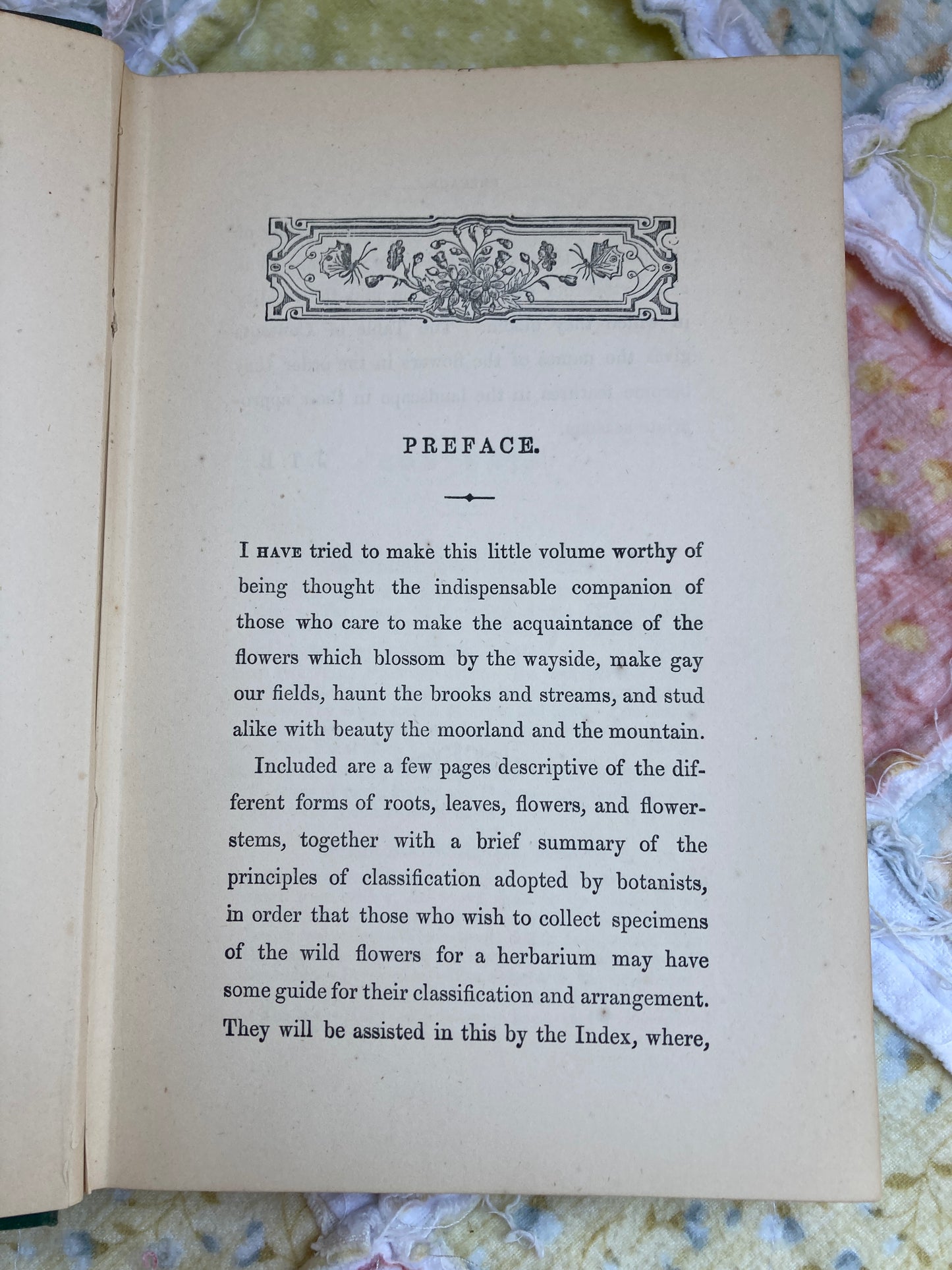 Burgess, J. Tom: English Wild Flowers to be found by The Wayside, Fields, Hedgerows, Rivers, Moorlands, Meadows, Mountains, and Sea-Shore (Frederick Warne & Co., London, circa 1900)