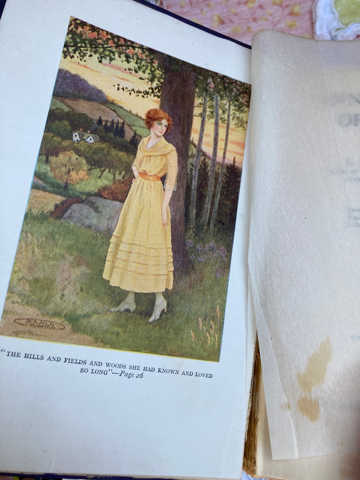 Montgomery, L. M.: Anne's House of Dreams (Frederick Stokes, 1917)