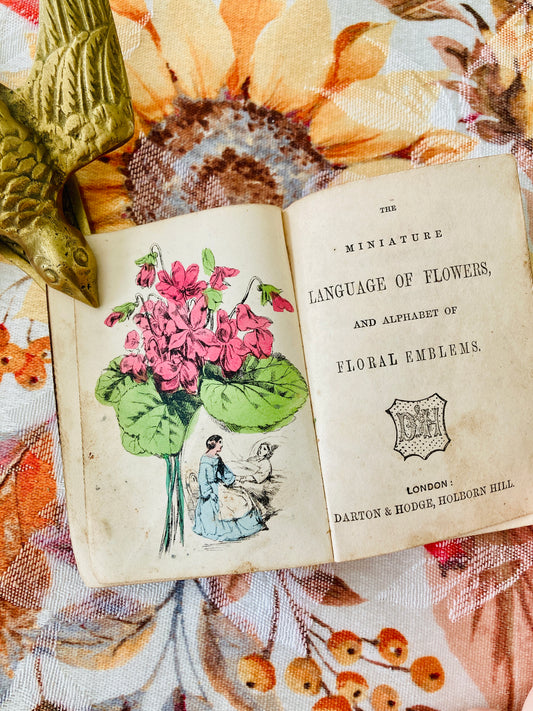 The Miniature Language of the Flowers and Alphabet of Floral Emblems (Darton & Hodge, London, circa 1865)