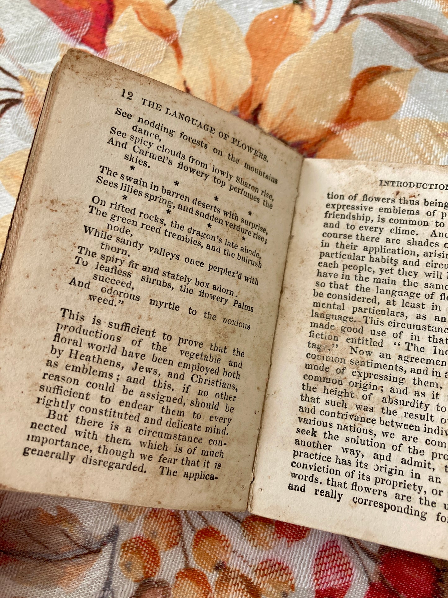 The Miniature Language of the Flowers and Alphabet of Floral Emblems (Darton & Hodge, London, circa 1865)