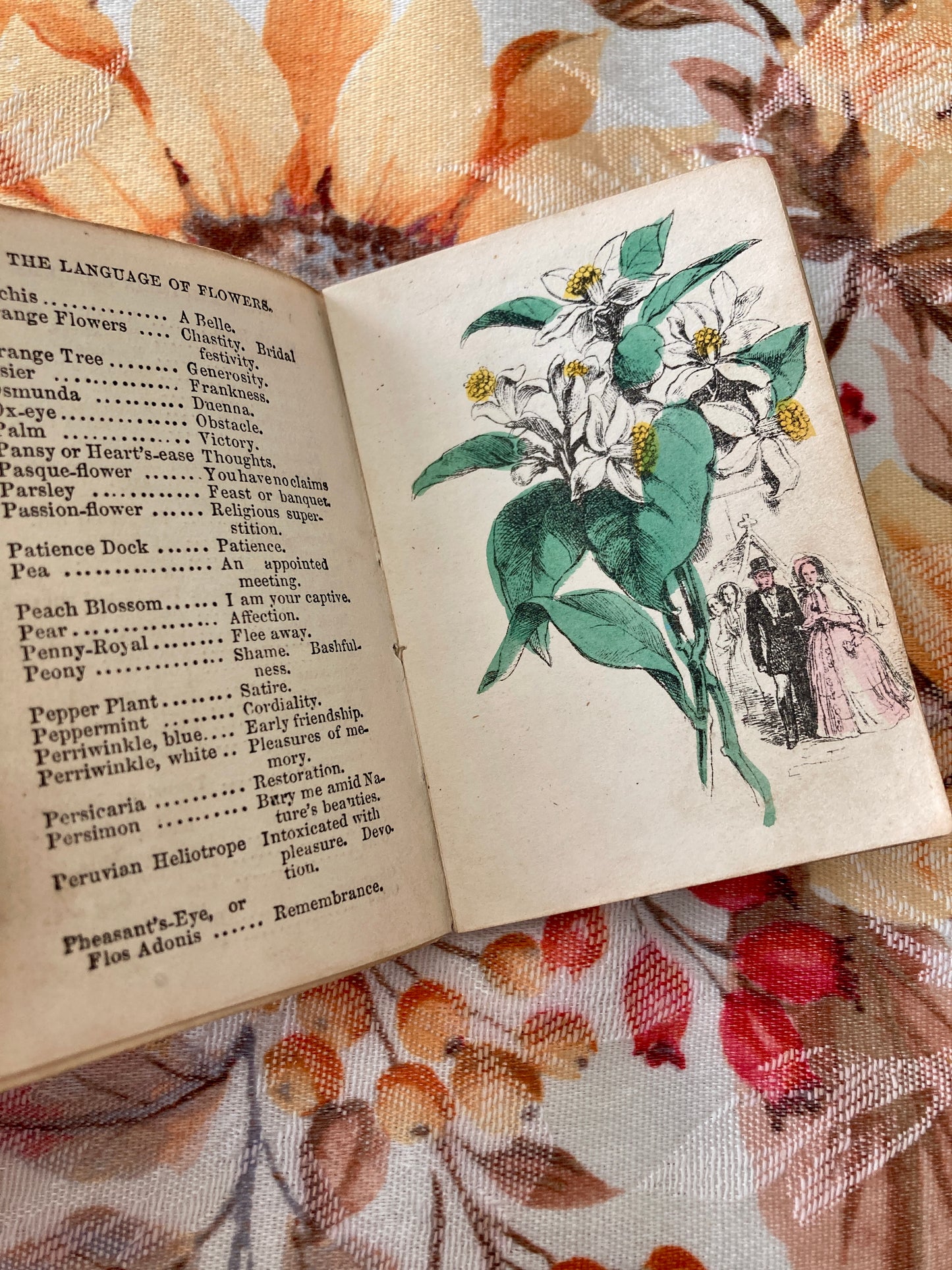 The Miniature Language of the Flowers and Alphabet of Floral Emblems (Darton & Hodge, London, circa 1865)