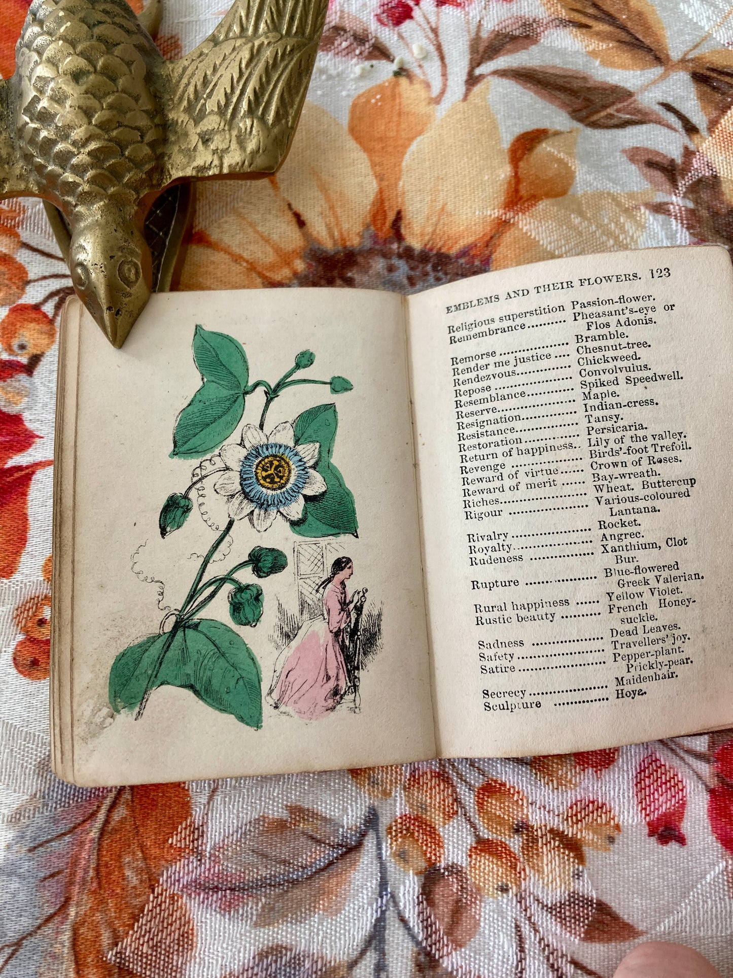The Miniature Language of the Flowers and Alphabet of Floral Emblems (Darton & Hodge, London, circa 1865)