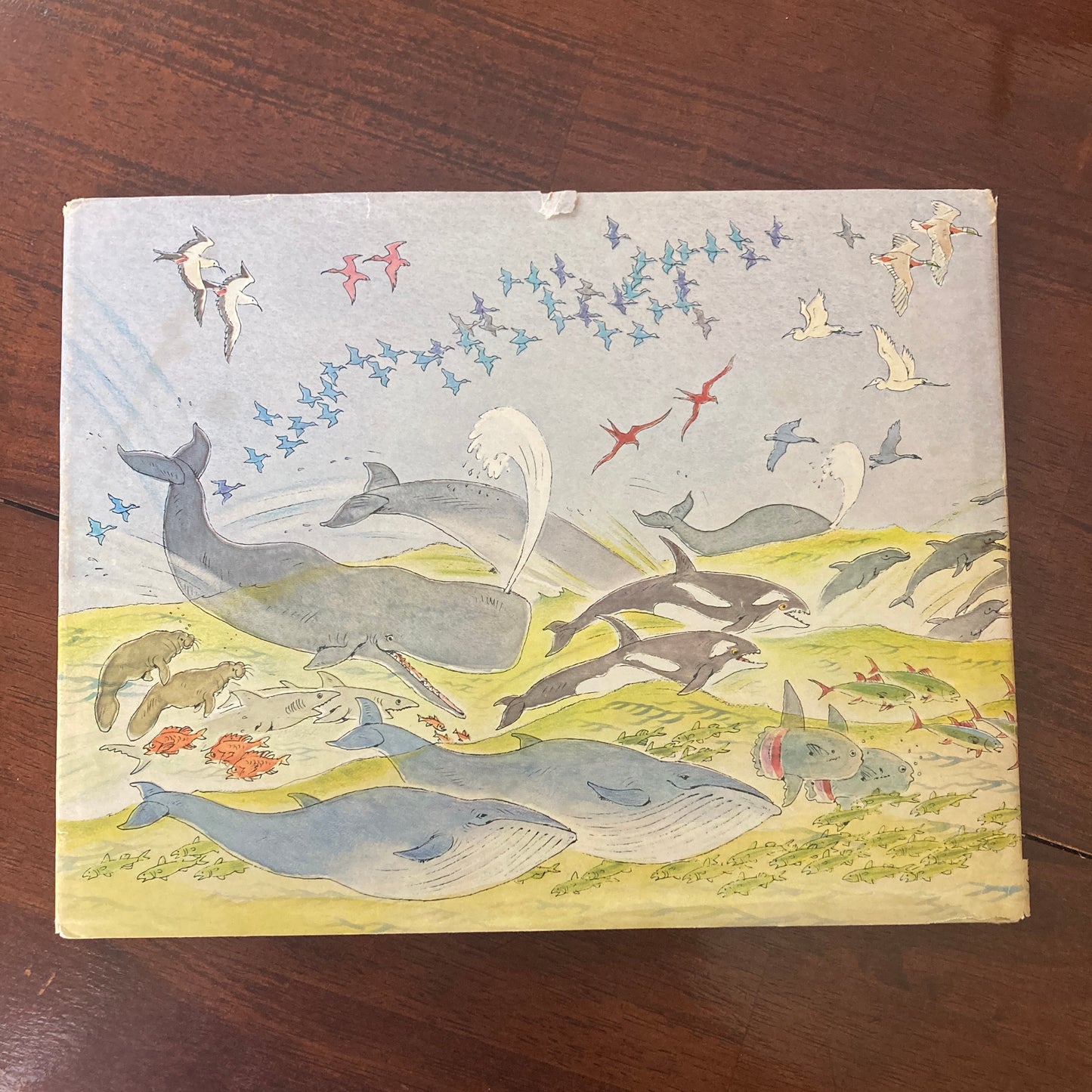[SIGNED] Spier, Peter: Noah's Ark (Doubleday & Company, 1977)