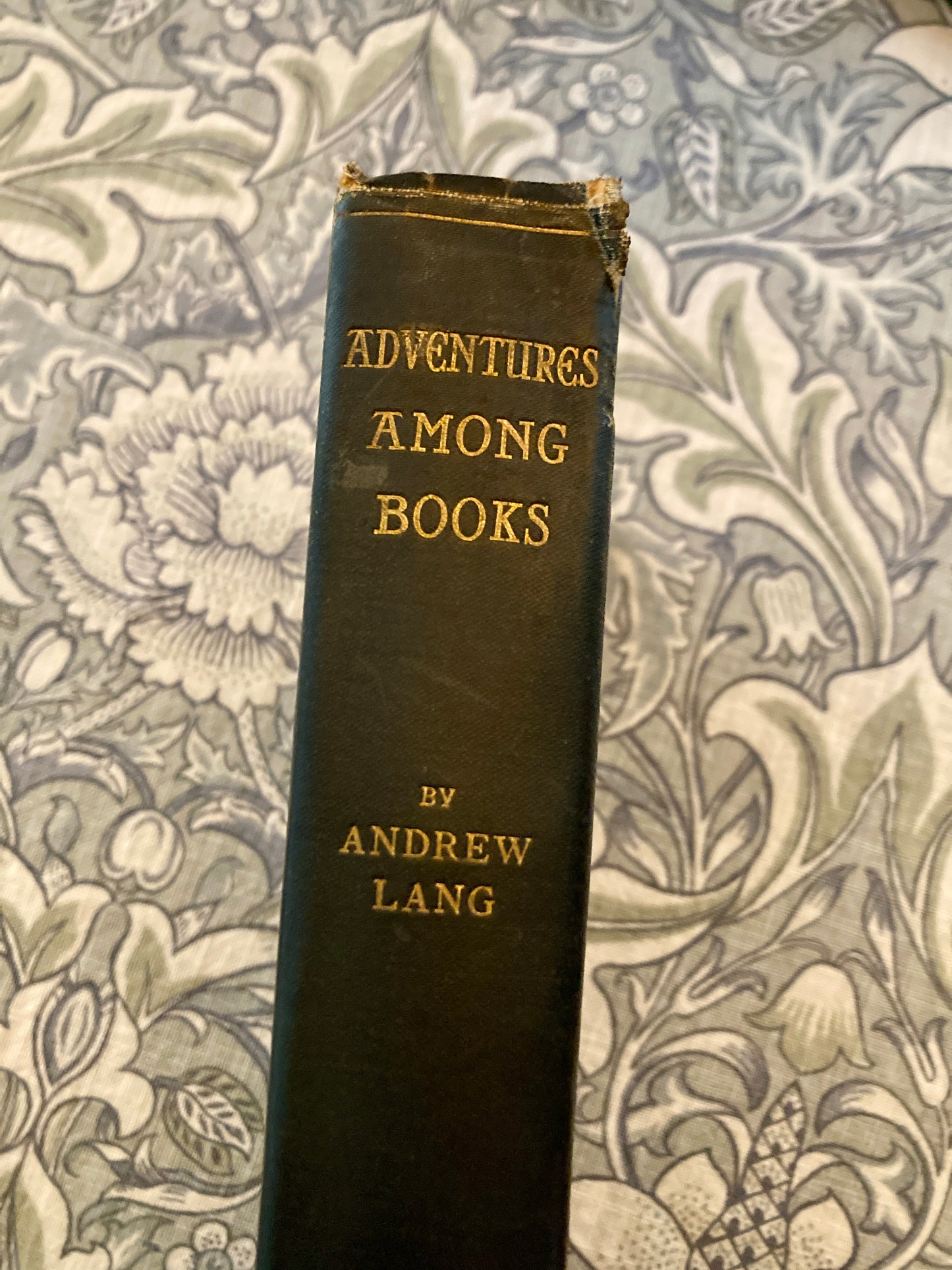 [FIRST EDITION] Lang, Andrew: Adventures Among Books (Longmans, Green, and Co., 1905)