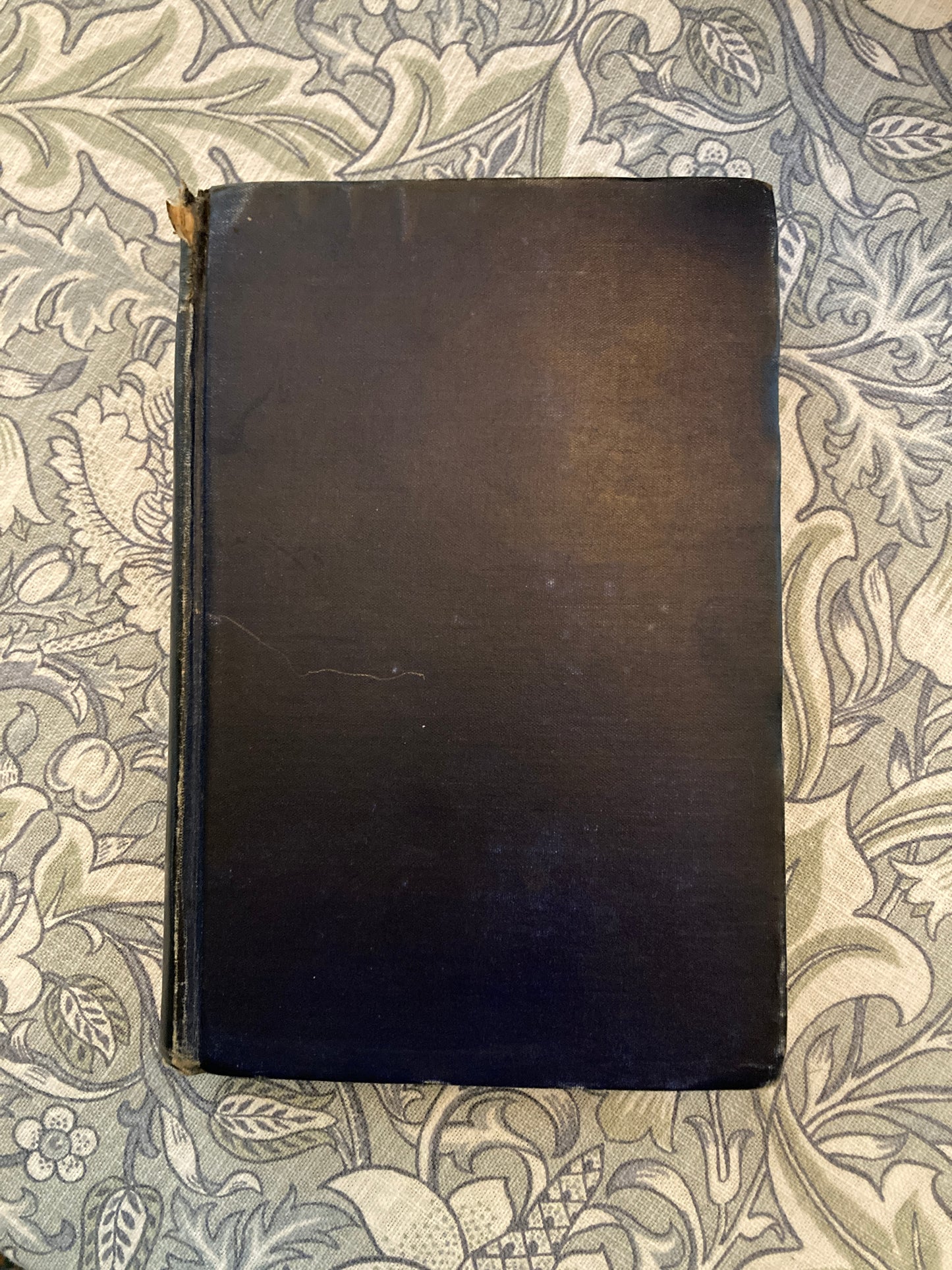 [FIRST EDITION] Lang, Andrew: Adventures Among Books (Longmans, Green, and Co., 1905)