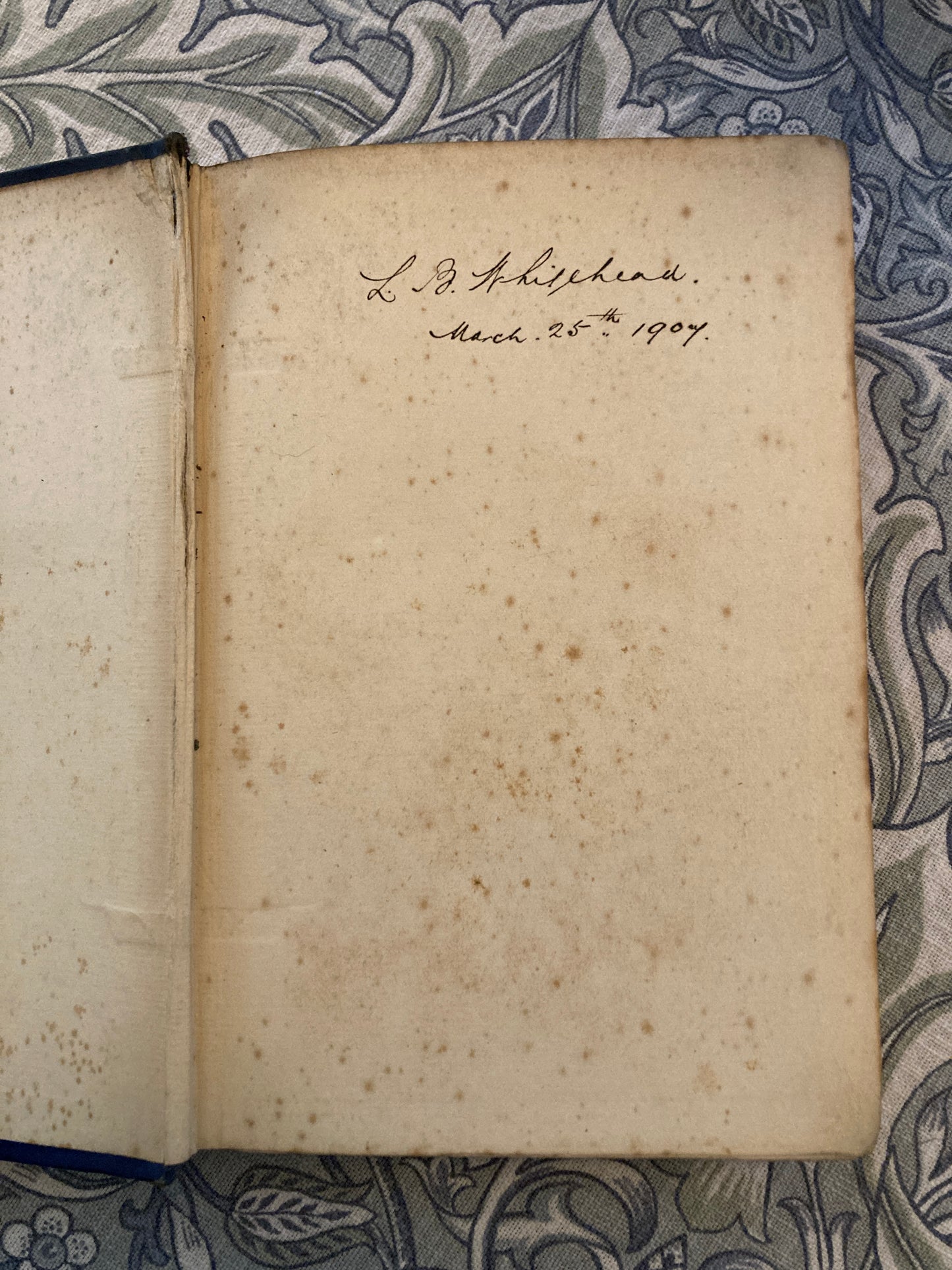 [FIRST EDITION] Lang, Andrew: Adventures Among Books (Longmans, Green, and Co., 1905)
