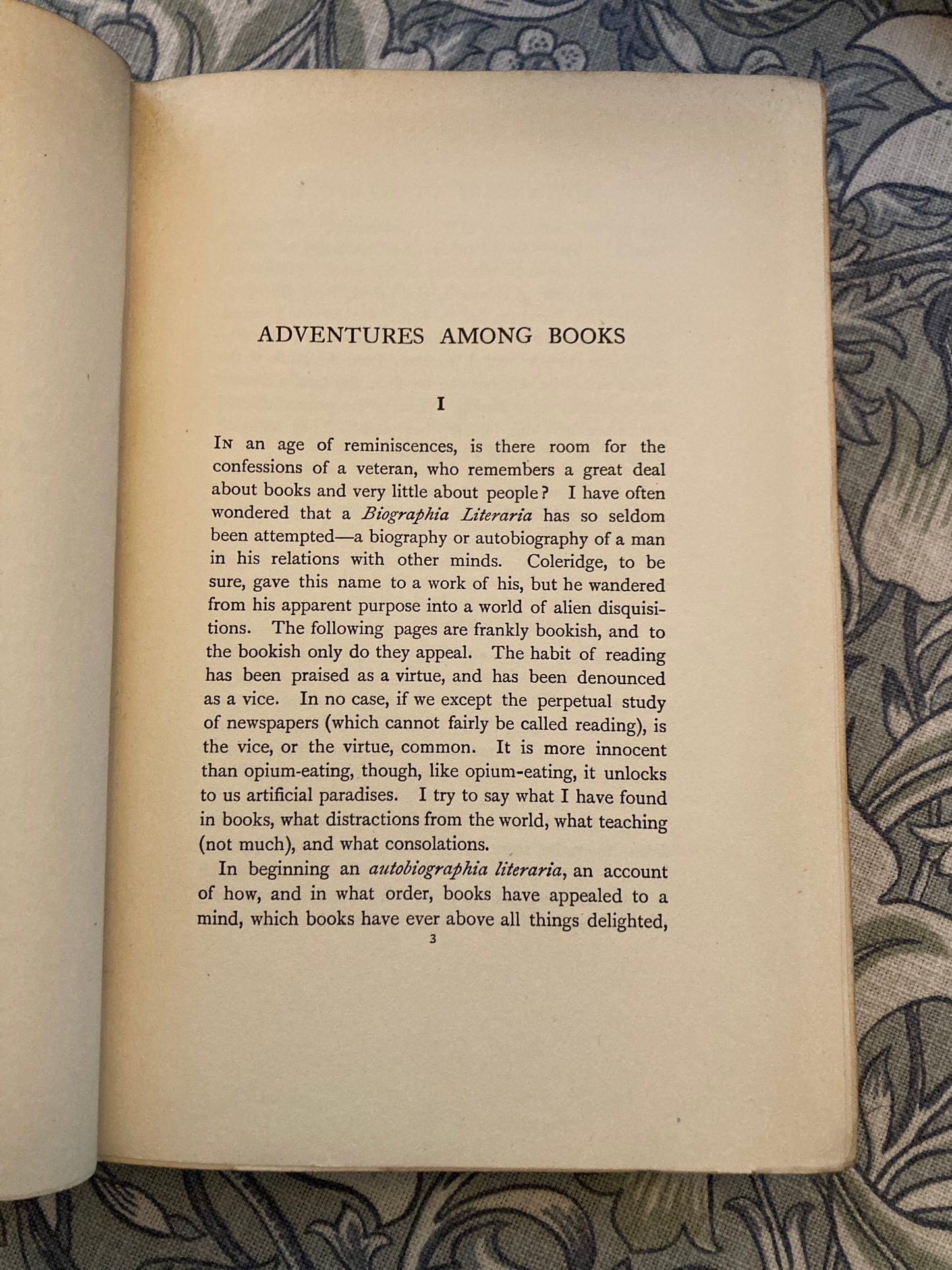 [FIRST EDITION] Lang, Andrew: Adventures Among Books (Longmans, Green, and Co., 1905)