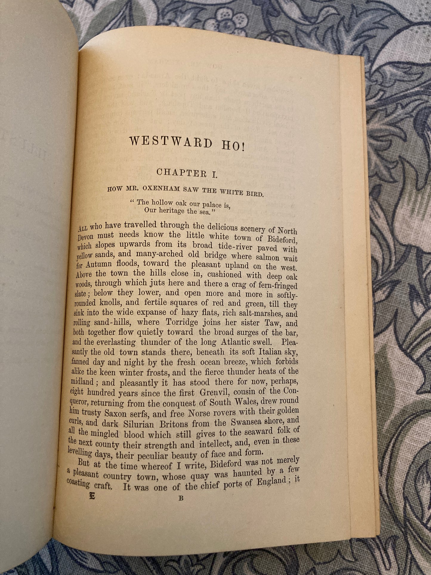 Kingsley, Charles: Westward, Ho! (Macmillan & Co., London, 1896)