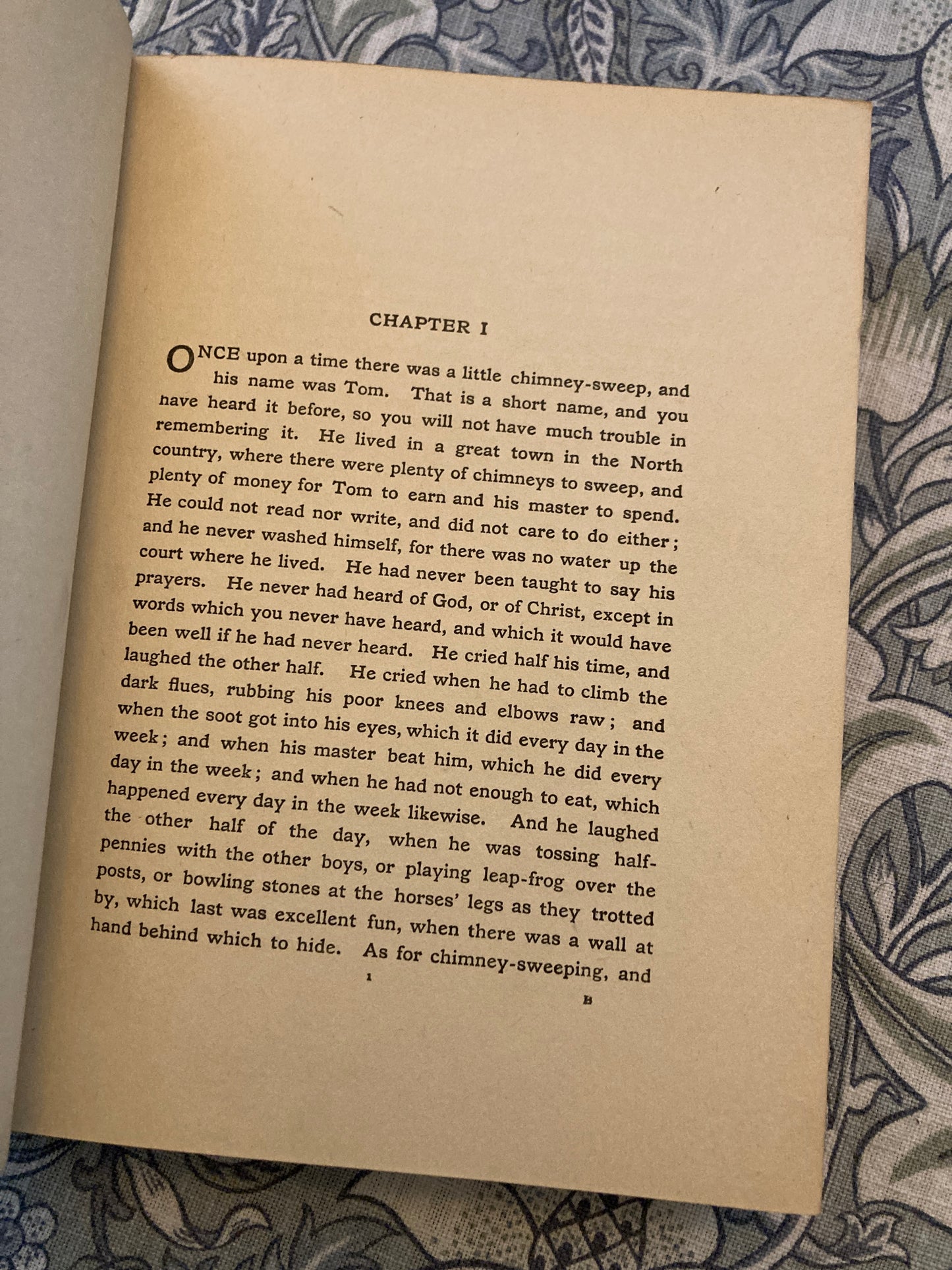 Kingsley, Charles; Katherine Cameron (Illustrator): The Water Babies: A Fairy Tale for a Land-Baby (T.C. & E.C. Jack, London)