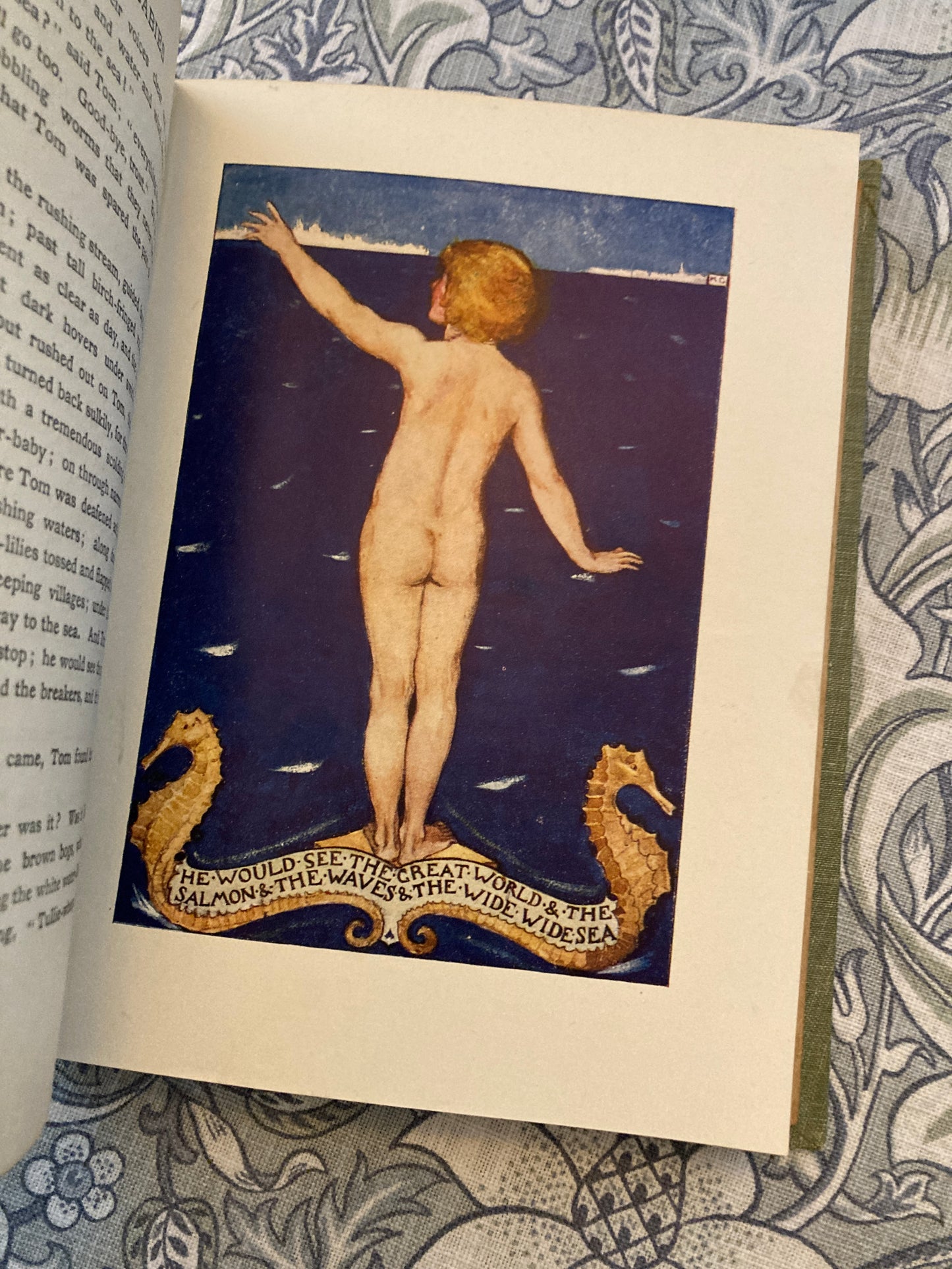 Kingsley, Charles; Katherine Cameron (Illustrator): The Water Babies: A Fairy Tale for a Land-Baby (T.C. & E.C. Jack, London)