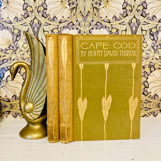 [FIRST EDITION] Thoreau, Henry David: Cape Cod, With Illustrations From Sketches In Colors By Amelia M. Watson (Houghton, Mifflin and Company, Boston & New York, 1896)