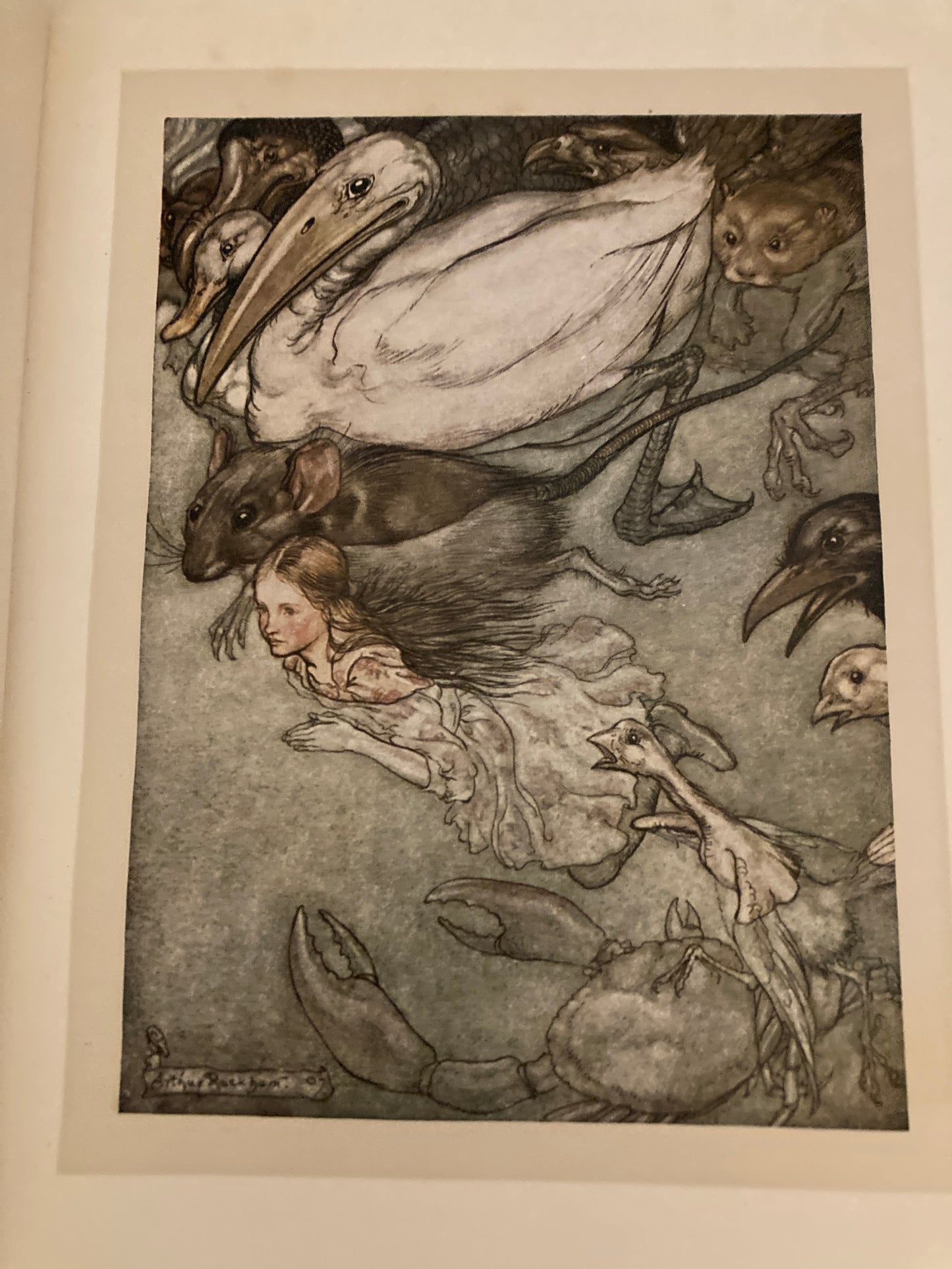 Carroll, Lewis; Arthur Rackham: Alice's Adventures In Wonderland (William Heinemann, London, Doubleday, Page & Co., New York, circa 1920)