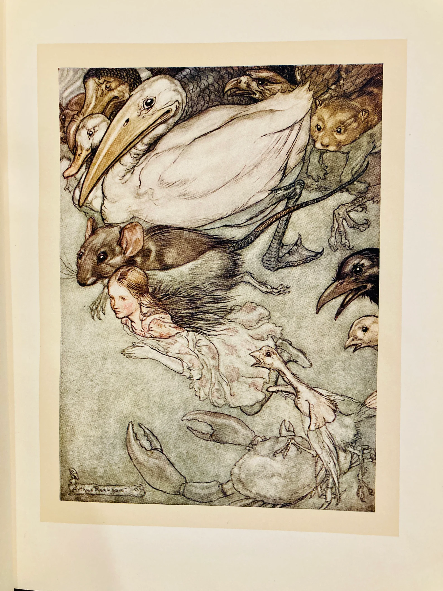 Carroll, Lewis; Arthur Rackham (illustrator): Alice's Adventures in Wonderland (William Heinemann, circa 1907)